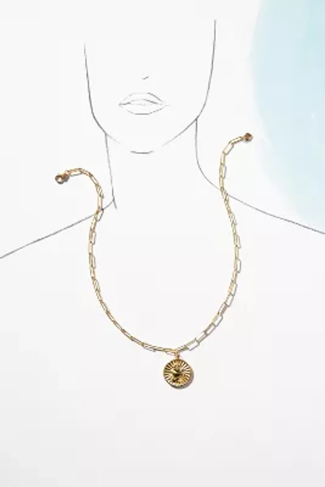 Hart Strength Lion Coin Necklace