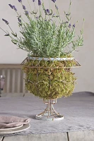 Scalloped Wire Urn Planter