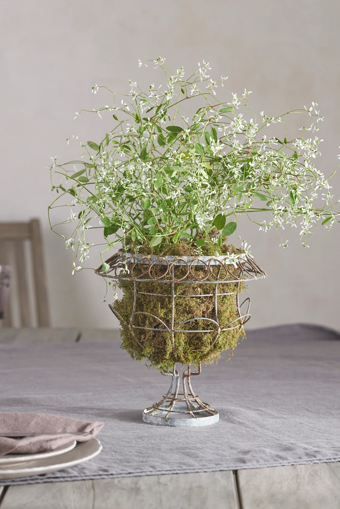 Scalloped Wire Urn Planter