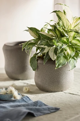 Textured Curve Ceramic Planter