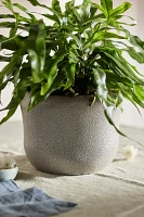 Textured Curve Ceramic Planter