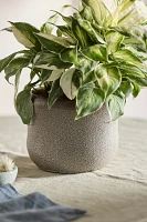 Textured Curve Ceramic Planter