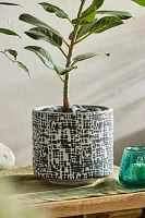 Crosshatch Ceramic Cylinder Pot