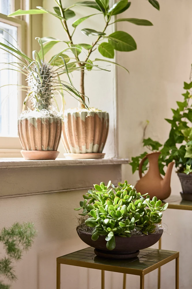 Ribbed Terracotta Taper Pot