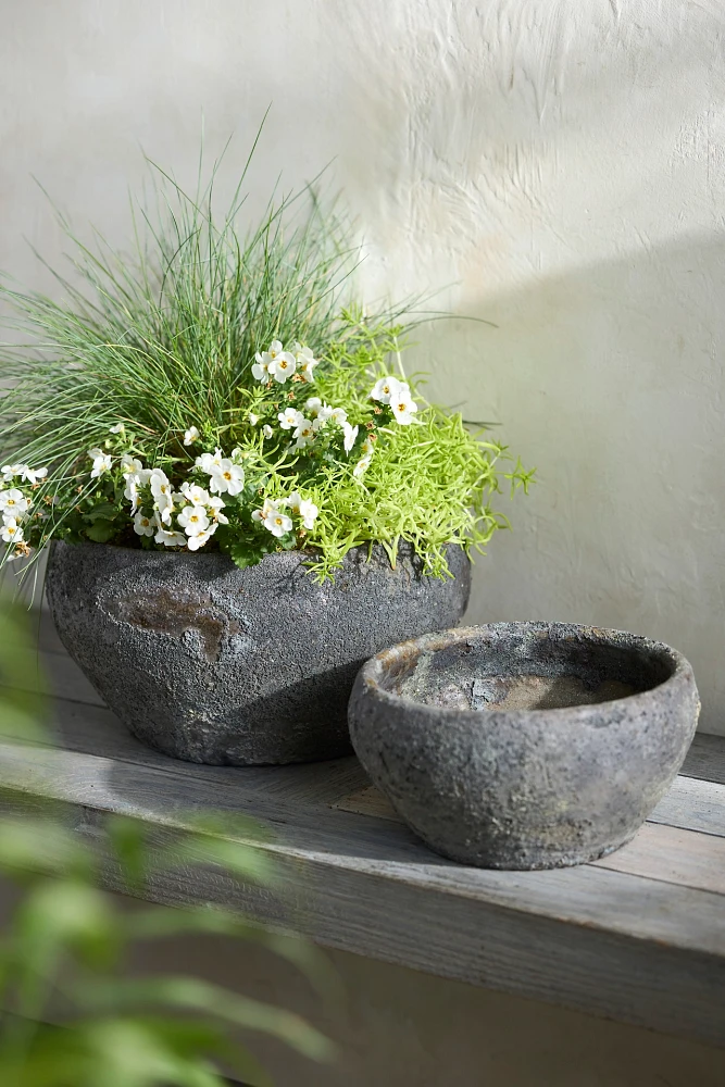 Barnacle Button Bowl Planter