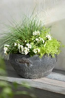 Barnacle Button Bowl Planter