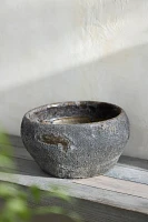 Barnacle Button Bowl Planter