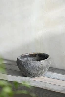 Barnacle Button Bowl Planter