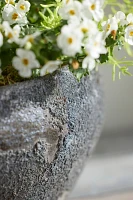 Barnacle Button Bowl Planter