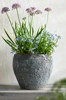 Barnacle Juliet Planter