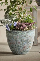 Barnacle Rounded Egg Planter