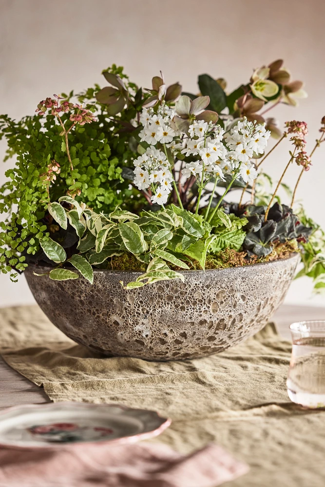 Barnacle Rounded Bowl Planter