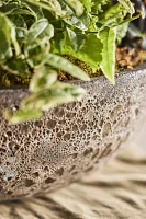 Barnacle Rounded Bowl Planter