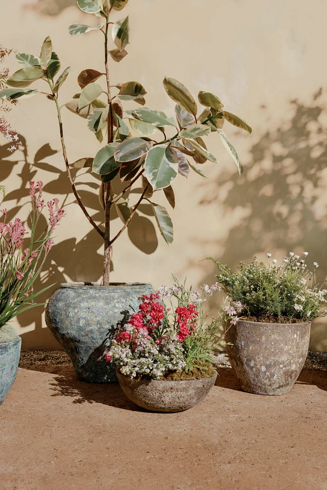 Barnacle Rounded Bowl Planter