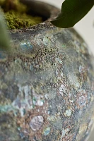 Barnacle Curved Jar Planter