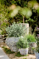 Barnacle Curved Jar Planter