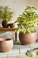 Terracotta Globe Planter