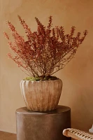 Ribbed Terracotta Low Taper Pot