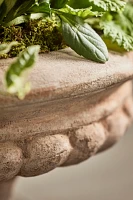 Classical Terracotta Urn Planter