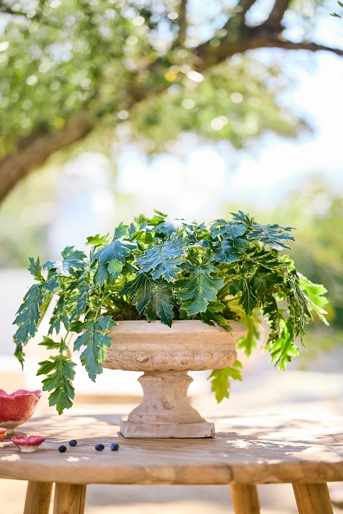 Classical Terracotta Urn Planter