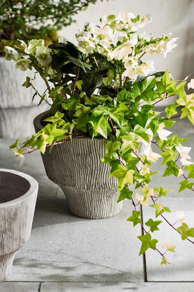 Fluted Textured Concrete Planter