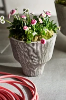 Fluted Textured Concrete Planter