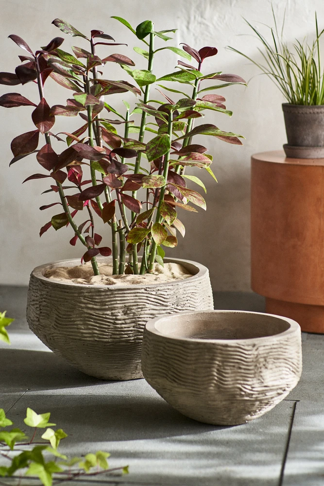 Wavy Concrete Bowl Planter