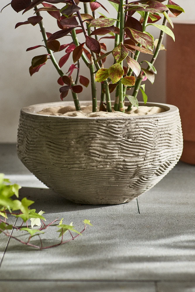 Wavy Concrete Bowl Planter