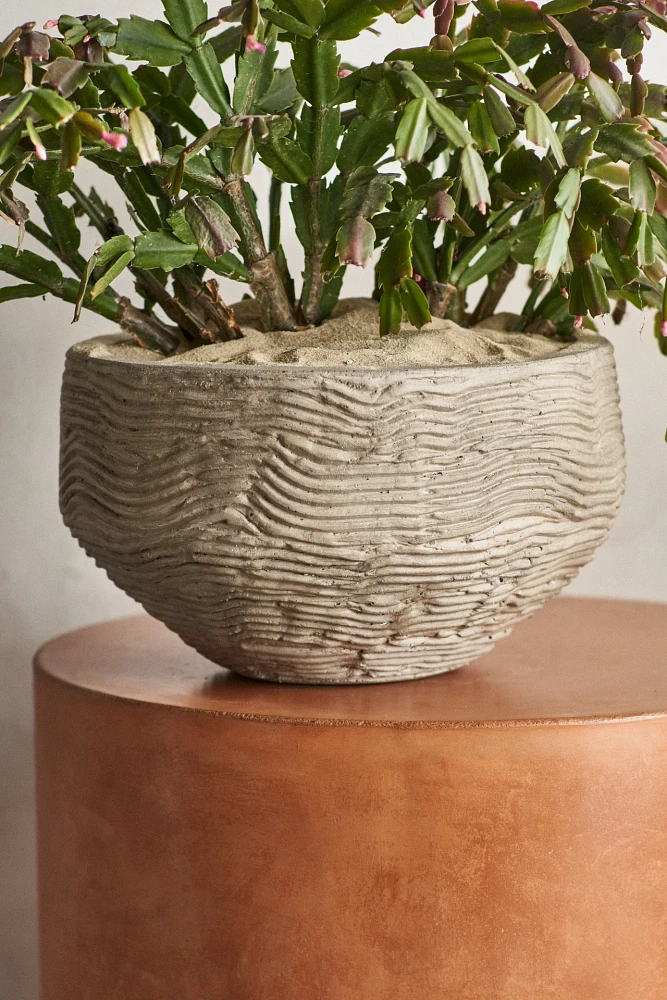 Wavy Concrete Bowl Planter
