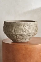 Wavy Concrete Bowl Planter