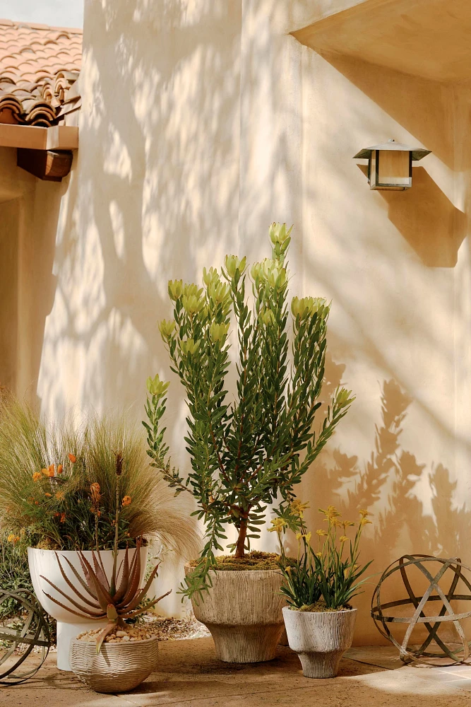 Wavy Concrete Bowl Planter
