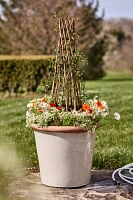 Raw Rim Stoneware Taper Planter