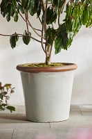 Raw Rim Stoneware Taper Planter