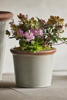 Raw Rim Stoneware Taper Planter