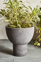 Footed Bowl Concrete Planter