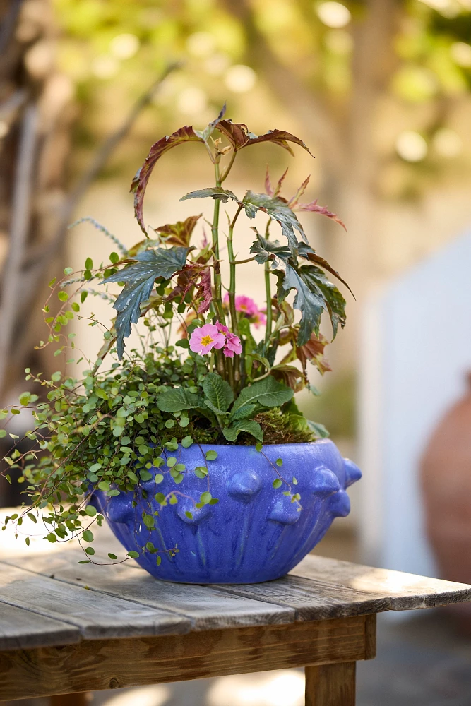 Knobby Blue Stoneware Bowl Planter