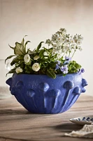 Knobby Blue Stoneware Bowl Planter