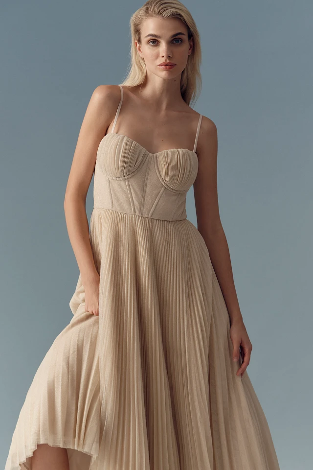 Hutch Amara Corset Pleated Tulle Fit & Flare Midi Dress at MarketFair  Shoppes in Princeton, NJ