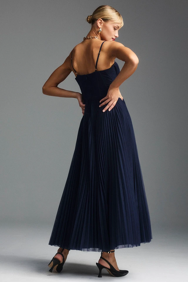 hutch amara midi dress Hutch Amara Corset Pleated Tulle Fit & Flare Midi Dress
