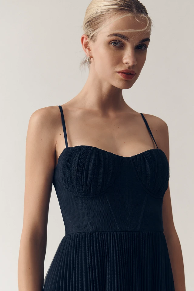 Hutch Amara Corset Pleated Tulle Fit & Flare Midi Dress at MarketFair  Shoppes in Princeton, NJ