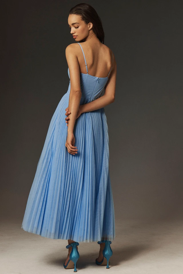 amara corset pleated tulle fit & flare midi dress Hutch Amara Corset Pleated Tulle Fit & Flare Midi Dress at MarketFair Shoppes in Princeton, NJ