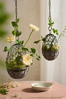 Hanging Wire Egg Basket