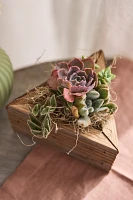 Triangle Succulent Planter