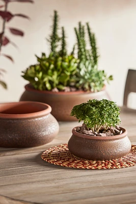 Contrast Rim Terracotta Bowl Planter