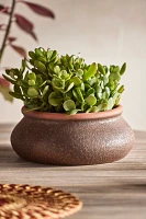 Contrast Rim Terracotta Bowl Planter