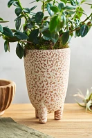 Footed Speckle Terracotta Planter