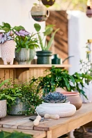 Footed Speckle Terracotta Planter