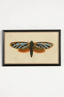 Crackled Moth Wall Art