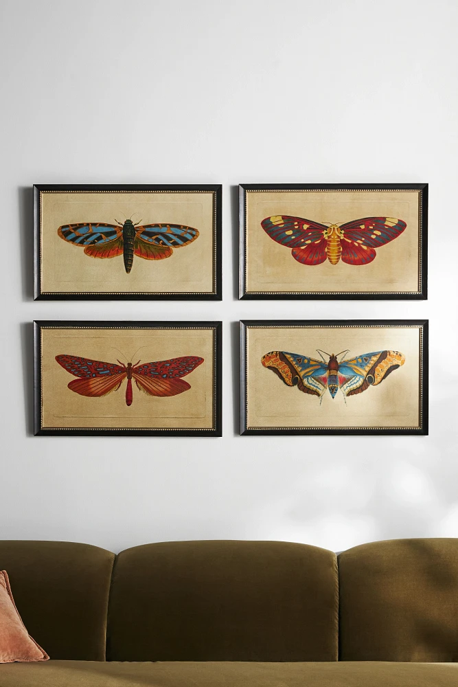 Crackled Moth Wall Art