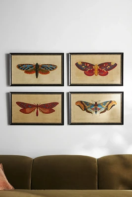 Crackled Moth Wall Art